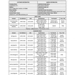 Blaze Kratom Gold Shot